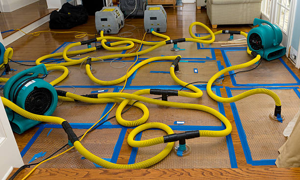 Professional Storm Water Damage Restoration technician working in Portage, IN